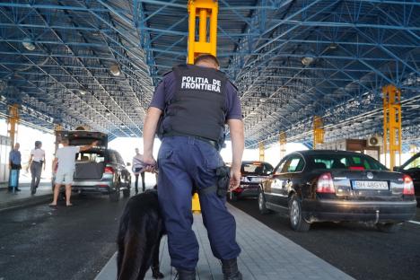 Pregătiți de Untold: Câinele Dit, specializat în detectarea drogurilor, și polițiștii bihoreni îi verifică pe șoferii care intră în țară prin Borș (FOTO/VIDEO)