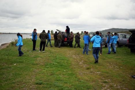 'Operaţiunea Ştiuca': 16.000 puieţi de ştiucă au fost lansaţi în apele din Bihor, inclusiv în Oradea (FOTO)