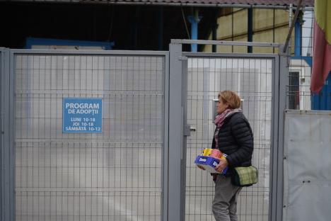 Lagărul Grivei: Cum a transformat Primăria Oradea adăpostul de câini al județului într-un lagăr de exterminare (FOTO/VIDEO)