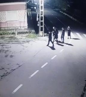 Prinşi pe camere: Şase adolescenţi din Bihor cu dosare penale, după ce au distrus 16 indicatoare rutiere (FOTO / VIDEO)