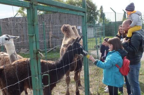Ziua părinților adoptivi la Zoo Oradea a ajuns la cea de-a zecea ediție (FOTO)