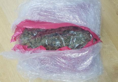 Campionul drogurilor: Detalii exclusive din dosarul de traficant de droguri al luptătorului K1 Adrian Maxim (FOTO)