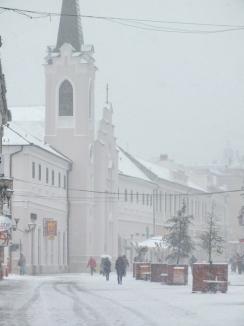 Oradea e iar albă: RER a scos pe străzi toate utilajele de deszăpezire (FOTO)