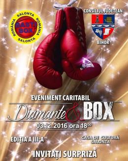 O nouă ediţie a show-ului 'Diamante şi box', sâmbătă seară, la Salonta