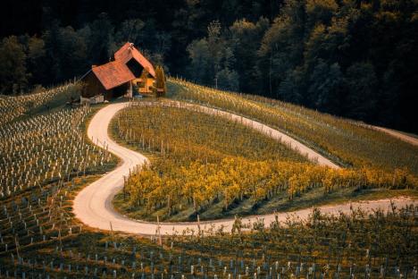 Concurs de artă fotografică, organizat de un club din Oradea: „Tradiții și modernitate în agricultura din România”