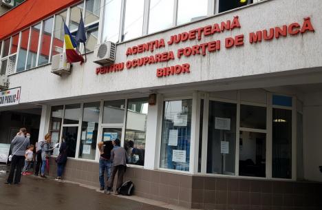 Piața muncii din Bihor: a scăzut numărul șomerilor, iar mulți bihoreni lucrează cu normă redusă