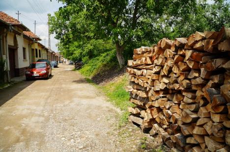 Ziua alegerilor în Finiş, unde primarul PSD şi-a înscris nevasta în cursa electorală. Comuna arată dezolant, Primăria a devenit afacere de familie (FOTO)