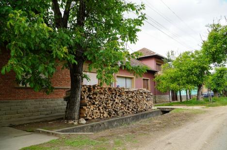 Ziua alegerilor în Finiş, unde primarul PSD şi-a înscris nevasta în cursa electorală. Comuna arată dezolant, Primăria a devenit afacere de familie (FOTO)