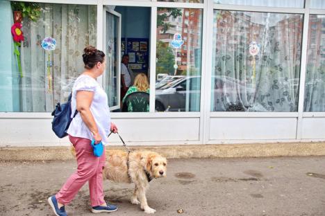 În Bihor, la ora 15, prezența la vot depășește 30% atât la alegerile locale, cât și la alegerile europarlamentare (FOTO)