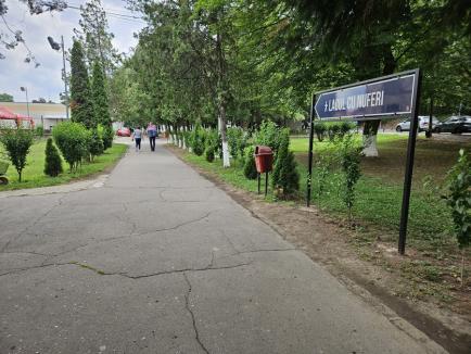 Alegeri în Sânmartin: Cozi de alegători în faţa secţiilor de votare, sub ochii principalilor candidaţi, pesedistul Cristian Laza şi liberalul Călin Gal (FOTO)