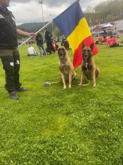 Fala, campioana: Un orădean și câinele său, recuperat dintr-o familie cu care nu s-a înțeles, au câștigat campionatul mondial (FOTO)