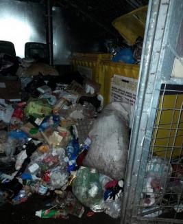 Peste 60 de amenzi, date de Poliția Locală Oradea, pentru depunerea gunoaielor în locuri neconforme şi neîntreţinerea spaţiilor verzi (FOTO)