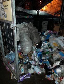 Peste 60 de amenzi, date de Poliția Locală Oradea, pentru depunerea gunoaielor în locuri neconforme şi neîntreţinerea spaţiilor verzi (FOTO)