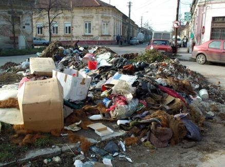 Poliţiştii locali au amendat orădenii prinşi că au aruncat gunoaie prin oraş