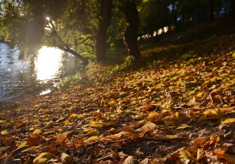 Cum va fi vremea în următoarele două săptămâni în regiune. Anunțul meteorologilor