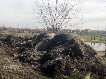 Ne enervează: Zeci de anvelope, aruncate de orădeni în pârâul Peţa (FOTO)