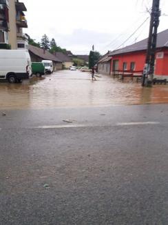 Ploile au făcut din nou ravagii în Bihor: străzi şi zeci de gospodării inundate (FOTO / VIDEO)