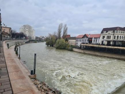 Se retrag apele: Promenada din Oradea este din nou practicabilă (FOTO)