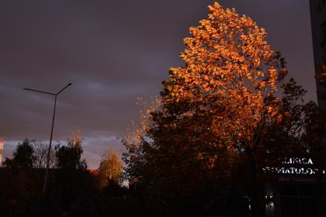Imagini spectaculoase cu apusul în Oradea (FOTO)