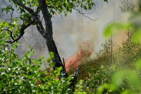 Apusenii în flăcări. Ce spune martorul izbucnirii incendiului de pe Valea Aleului, foc care a distrus peste 200 de hectare în trei zile și trei nopți (FOTO / VIDEO)