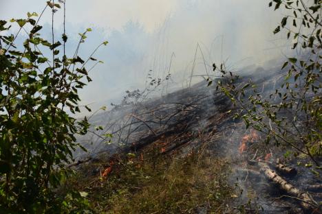 Apusenii în flăcări. Ce spune martorul izbucnirii incendiului de pe Valea Aleului, foc care a distrus peste 200 de hectare în trei zile și trei nopți (FOTO / VIDEO)