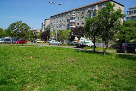 Arbori vs. Pump-track: Zeci de copaci doborâți într-o zonă verde din Oradea, pentru a se amenaja un circuit pentru bicicliști și skateri (FOTO / VIDEO)
