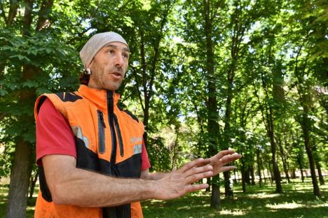 Specialistul în creşterea copacilor Alexandru Purcaru: 'Oradea are nevoie de un management al arborilor' (FOTO)