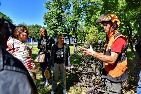 Specialistul în creşterea copacilor Alexandru Purcaru: 'Oradea are nevoie de un management al arborilor' (FOTO)