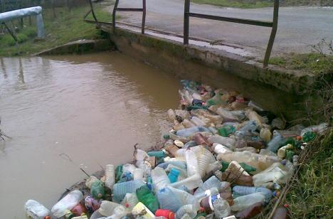 „Suntem gunoierii apelor”: Cum vrea să culeagă ABA Crișuri PET-urile de pe râurile din Bihor, înainte să ajungă în Ungaria