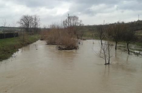 Din nou pericol de inundaţii pe râurile din Bihor