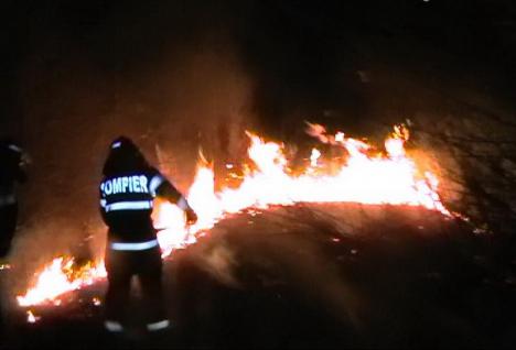 20 de hectare de mirişte au ars în Bihor după ce o persoană a făcut foc în aer liber. Pompierii avertizează că vinovaţii pot fi amendaţi