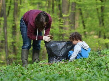 Pentru natură curată: Bihorenii, chemaţi să cureţe gunoaiele din pădurea Săldăbagiu de Munte
