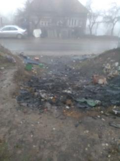 Atelier ilegal de dezmembrări auto descoperit în Bihor: Proprietarul, amendat cu 17.000 de lei (FOTO)