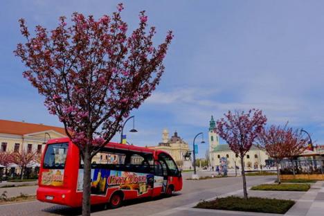 OTL anunță programul autobuzului turistic în perioada 19 - 21 mai