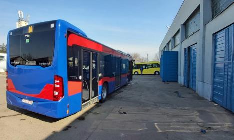 Primul autobuz Mercedes hibrid din lotul de 15 cumpărate de OTL a ajuns la Oradea. Vezi cum arată! (FOTO)