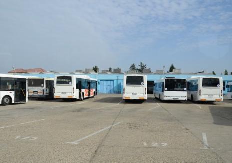 Pata pe galben: OTL nu vrea autobuze galbene de teama... Curţii de Conturi