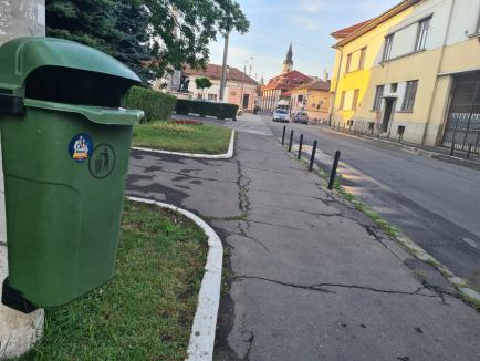 Nesimţire tradiţională: 'Apărătorii patriei' au umplut coşurile de gunoi din Oradea cu autocolante (FOTO)