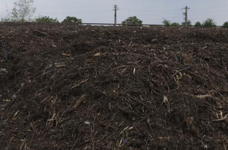 AVE și ECO Bihor fac Oradea și Bihorul mai curate (FOTO/VIDEO)