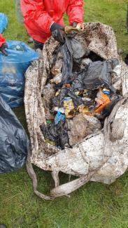 Natura nu e tomberon! AVE oferă pentru 250.000 de bihoreni soluţia corectă pentru eliminarea deşeurilor (FOTO)