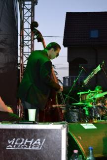Jazz în parc: Pasionaţii de jazz au ascultat cântece dedicate Papei Ioan Paul II la festivalul Posticum (FOTO)