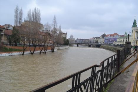 Peste 600 de hectare de teren inundate după ploile din weekend (FOTO)