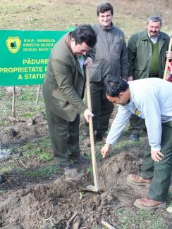 Direcţia Silvică Bihor a început curăţenia şi plantările: peste 450 hectare de pădure vor fi regenerate în acest an 