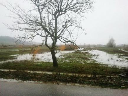 Precipitaţiile record au inundat terenuri şi drumuri din 9 localităţi bihorene (FOTO)
