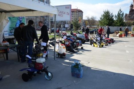 Cele mai noi tendinţe de amenajare de grădini şi terase, la Lotus Center (FOTO) 