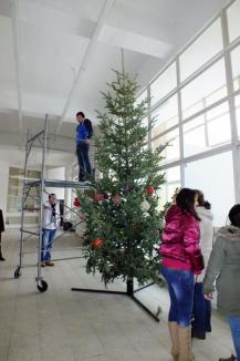 Studenţii orădeni au pregătit Universitatea pentru Crăciun (FOTO)