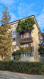 Faţa oraşului: Balconul unui bloc din Oradea a fost cucerit de un arbore