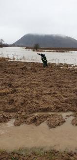 Cod portocaliu de viituri în Bihor. Bărbat salvat de pompierii din Beiuș după ce a fost surprins de creșterea bruscă a apei (FOTO / VIDEO)