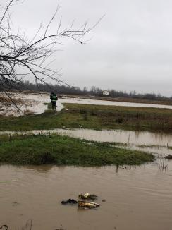 Cod portocaliu de viituri în Bihor. Bărbat salvat de pompierii din Beiuș după ce a fost surprins de creșterea bruscă a apei (FOTO / VIDEO)