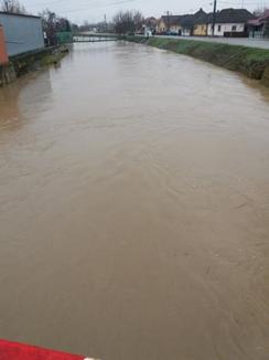 Râurile dau pe-afară: ABA Crişuri a intervenit în Viişoara şi Suplacu de Barcău pentru a scoate apa din gospodării