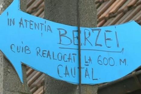 Se întâmplă în România: Au mutat cuibul berzei prin ordin de ministru şi i-au lăsat mesaj pe stâlp!